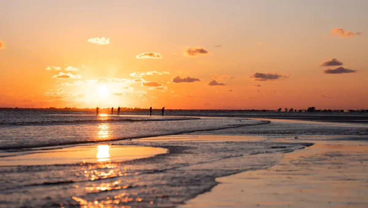 Bunche Beach Preserve At San Carlos Bay | Most beautiful beaches in Florida 