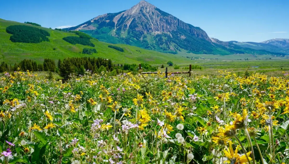 Crested Butte: Hiking among wildflowers | Top Outdoor Activities In Colorado