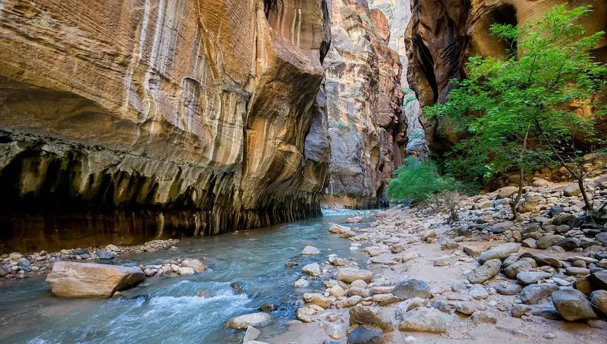 The Narrows, Utah (Zion National Park) | Best Hiking Trails In The USA
