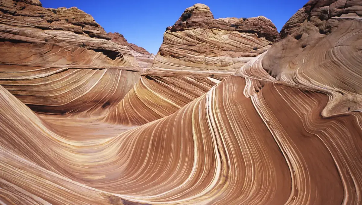 The Wave, Arizona | Best Hiking Trails In The USA