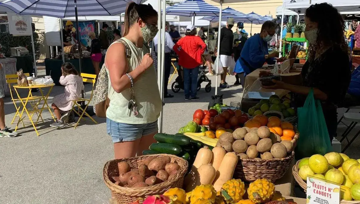 Coconut Grove Farmers’ Market | best farmers' markets in Miami