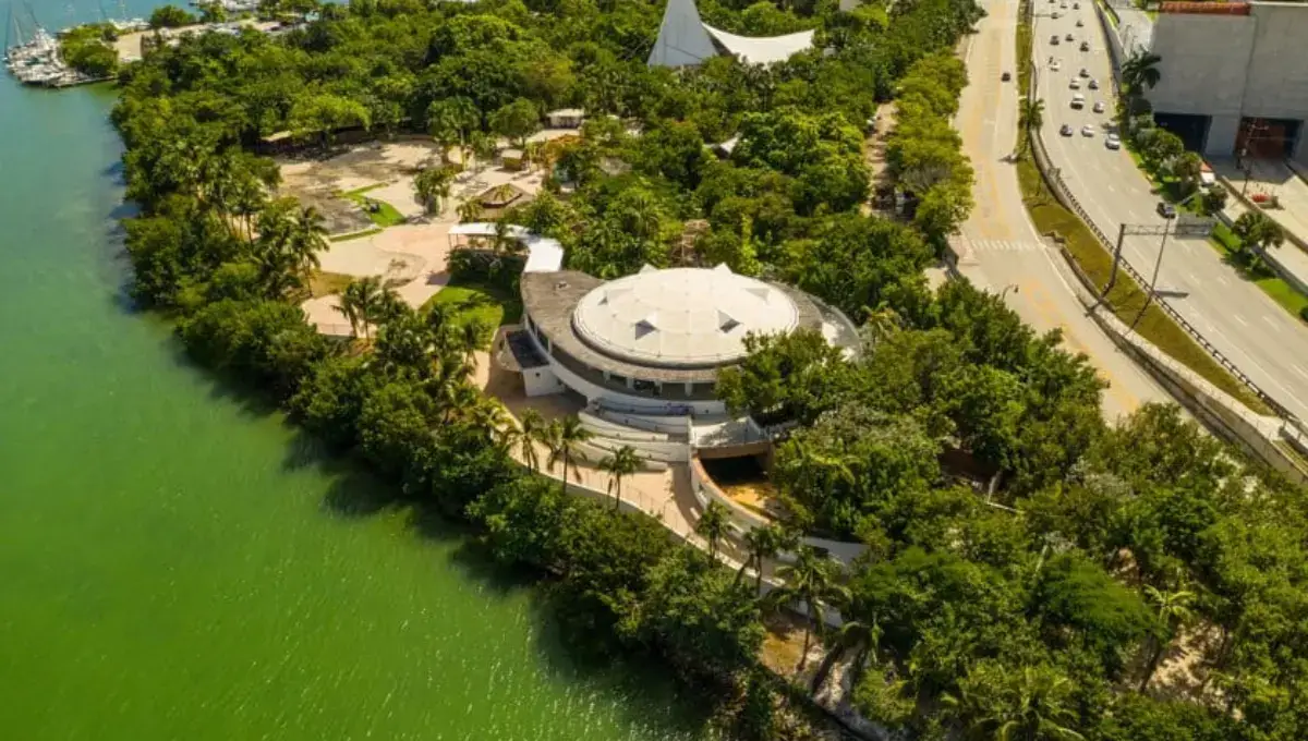 . Jungle Island | best things to do in Miami with family