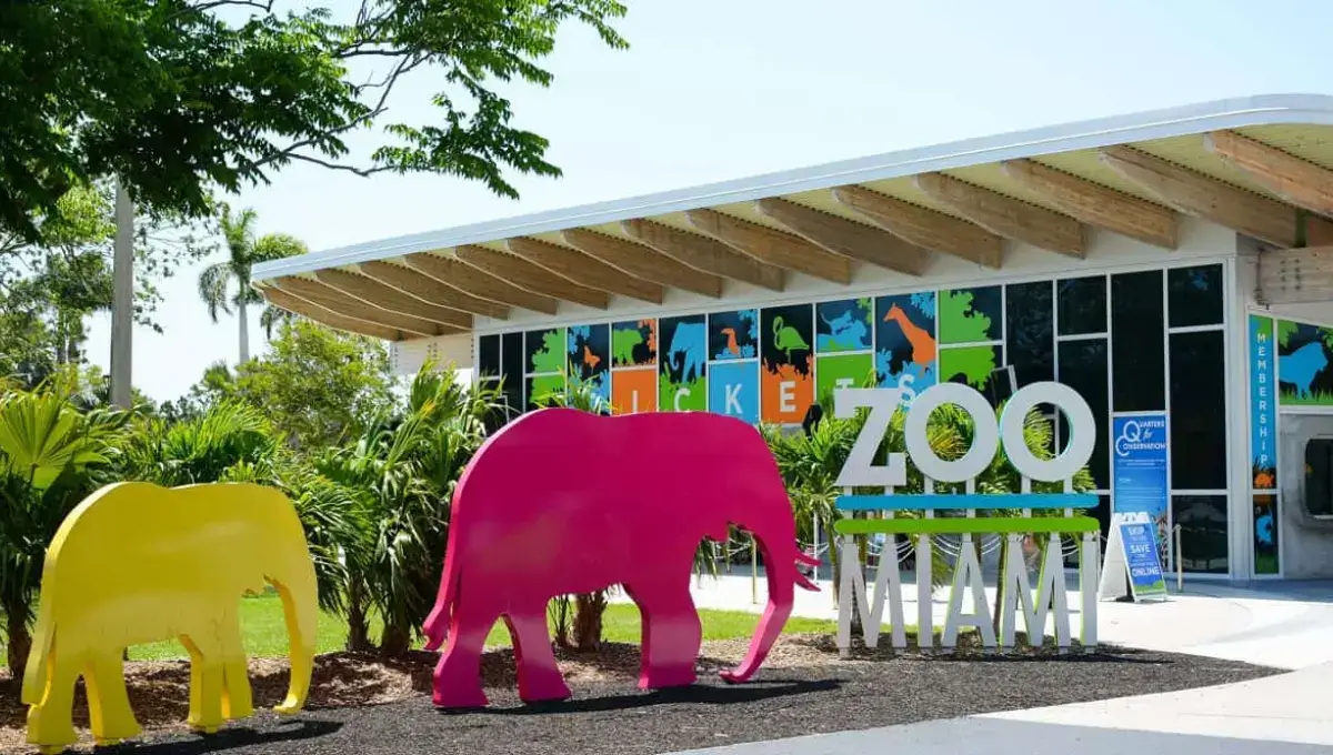  Zoo Miami | best things to do in Miami with family