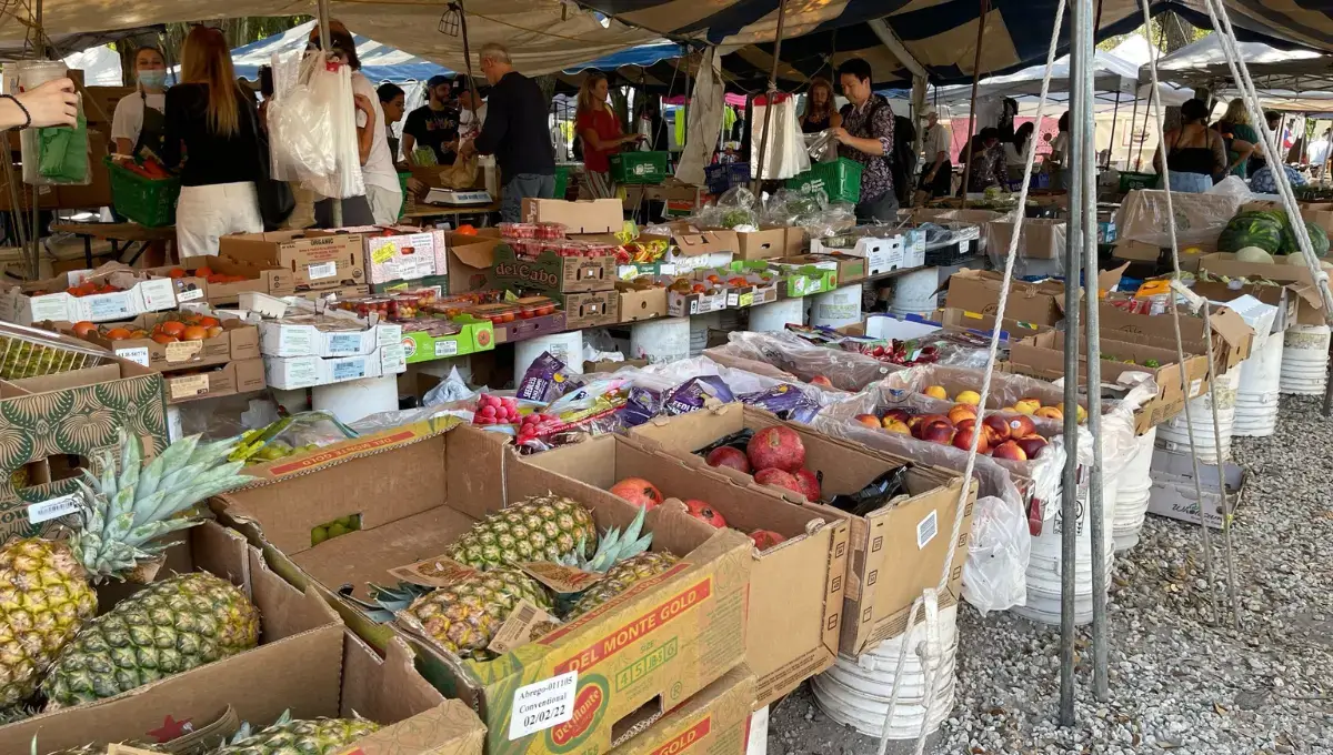 The Farmers’ Market at Merrick Park | best farmers markets in Miami