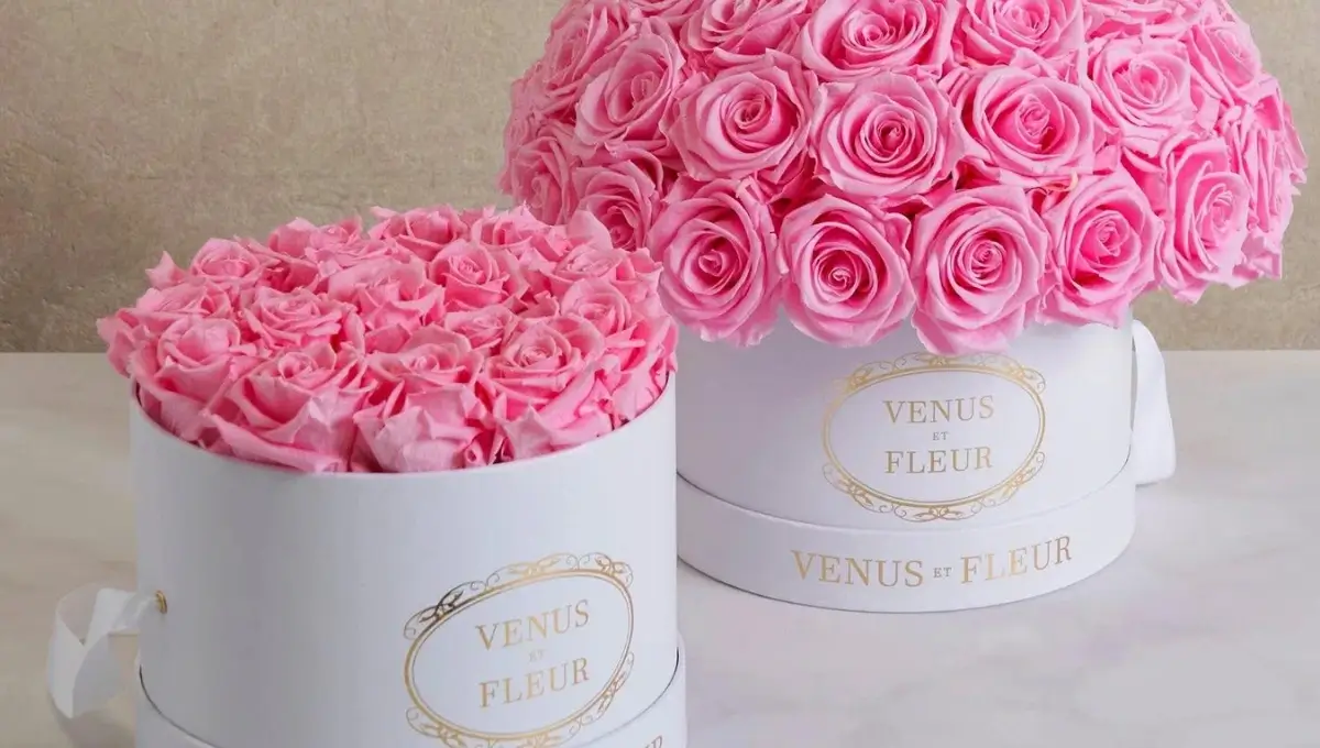 Vénus ET Fleur | Best Flower Delivery Services in Miami 