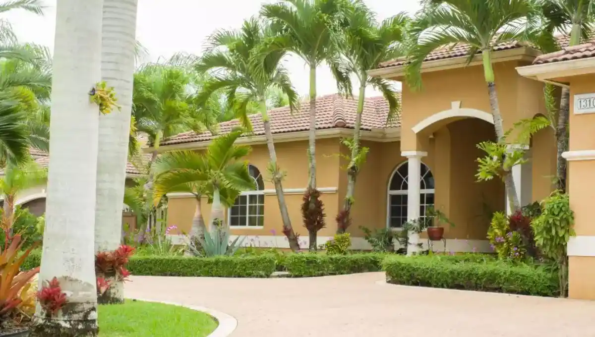 Best Homestays In Miami