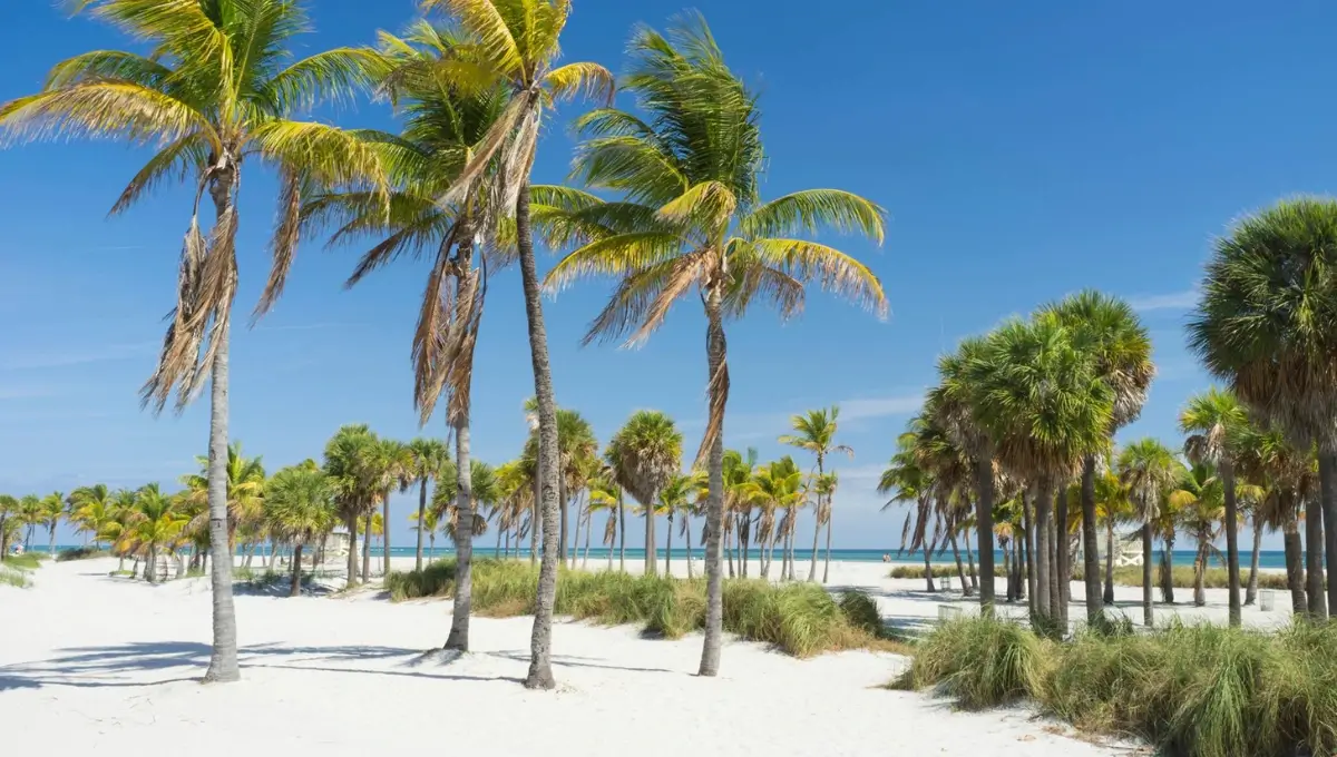 Visit the closest beach | Best Things To Do In Miami With kids