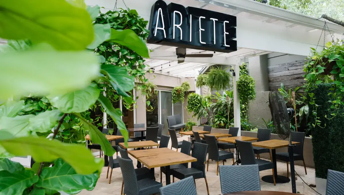 Ariete Miami