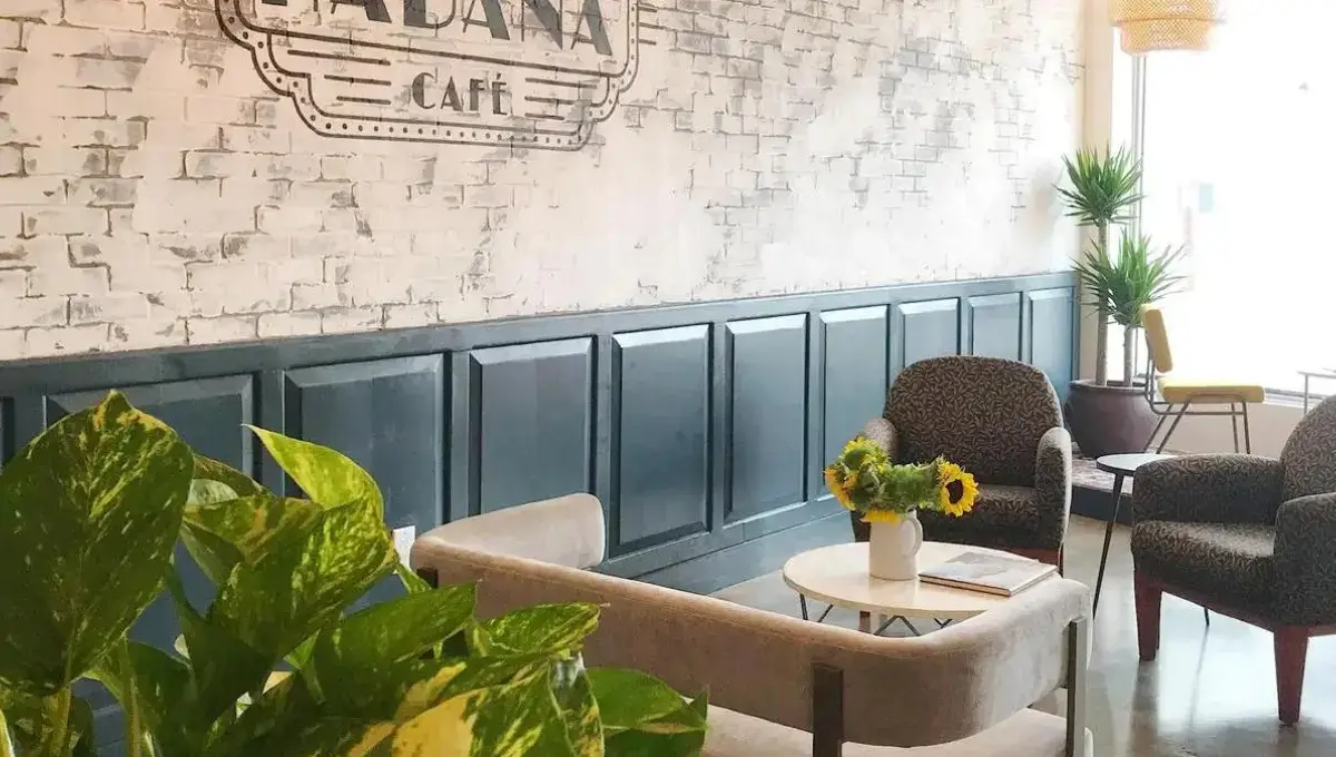 Suite Habana Cafe | Best Coffee shops in Miami