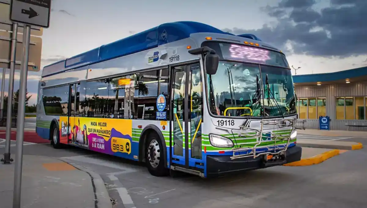 Miami Metrobus | Miami's public transportation