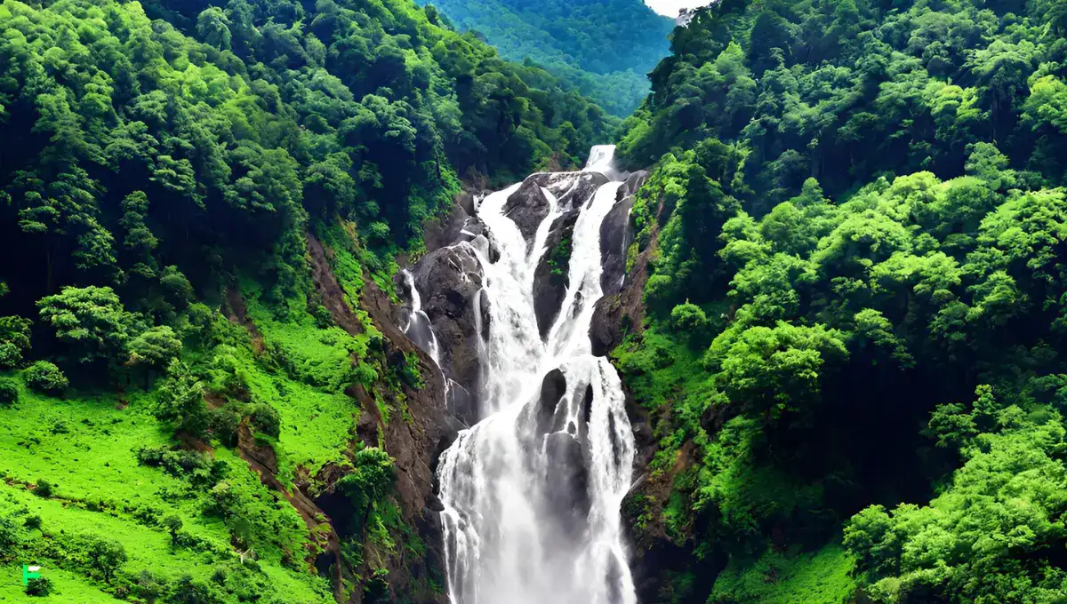 Dudhsagar Waterfalls - Enticing Sight