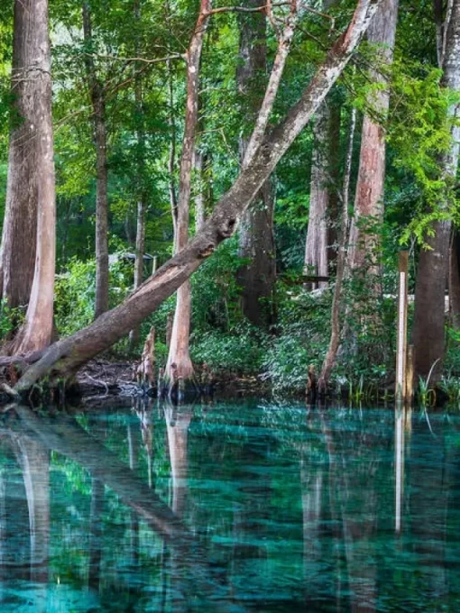 Best natural springs near Miami
