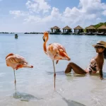 Why Visiting Aruba Just Got a Bit More Expensive What You Need to Know