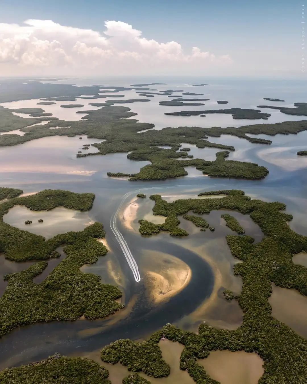 Mangrove Forests Everglades National Park