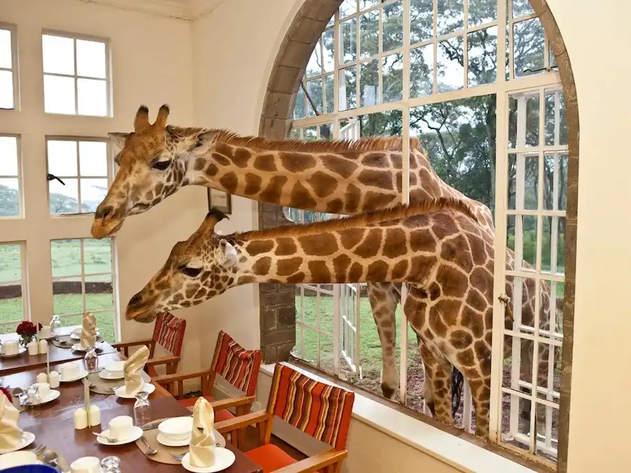 Giraffe Manor – Nairobi, Kenya