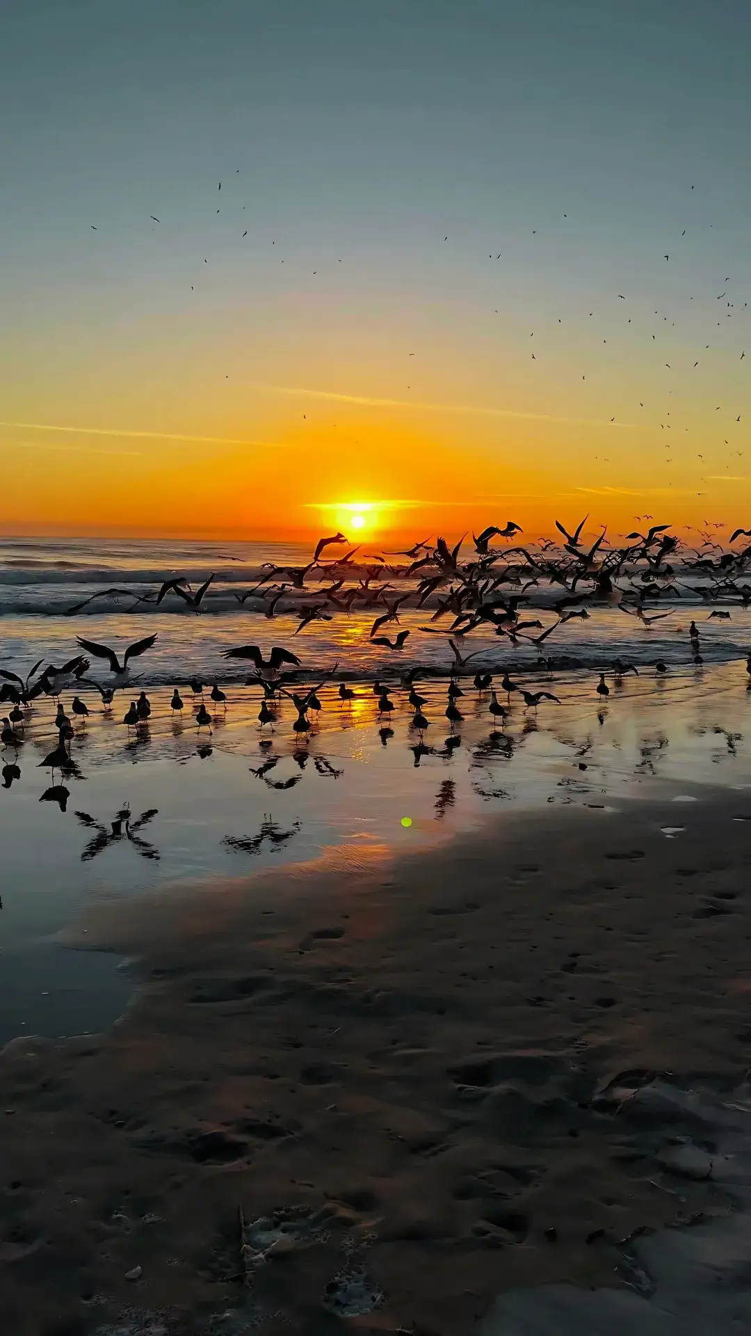 Daytona Beach, Volusia County