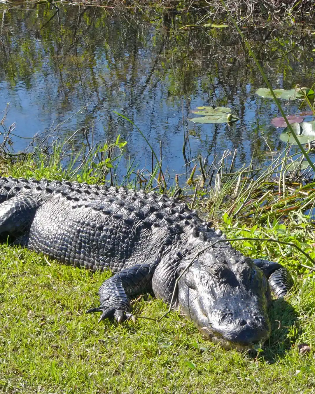 Everglades National Park