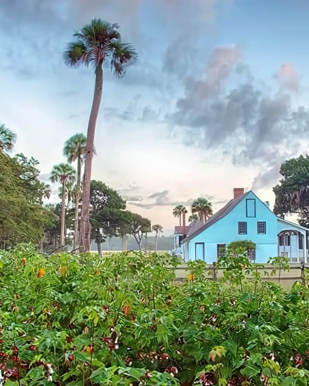 Timucuan Ecological and Historic Preserve