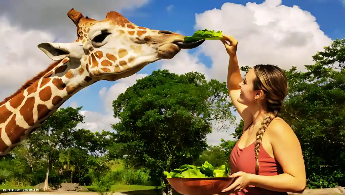 Amazing Zoos and Animal Experiences Near Miami for Family Fun