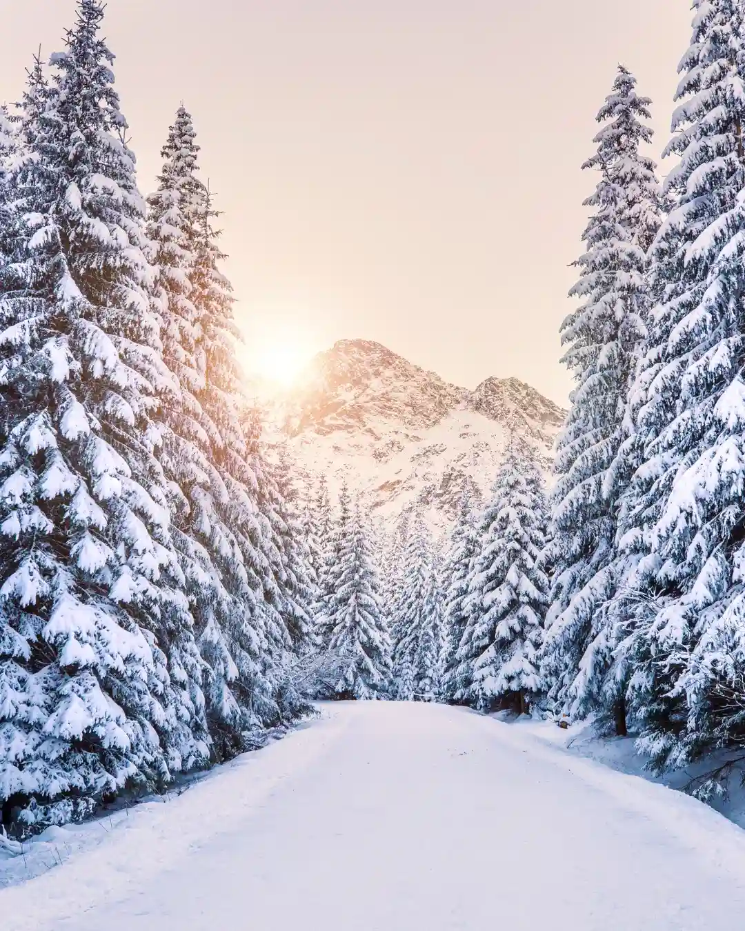 🤔 What makes a luxury travel destination? 🌟11 Best Luxury Travel Destinations in the USA That Will Blow Your Mind 4 Best Luxury travel destinations in the USA Aspen, Colorado – Winter Wonderland of Elegance