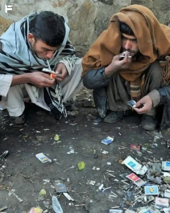 Smoking Scorpions in Pakistan