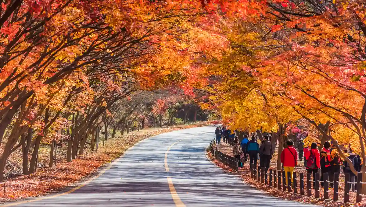 11 Best Places to Visit in NYC in November 1 places to visit in NYC in November 11 Best Places to Visit in NYC in November